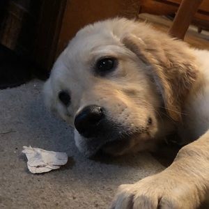 Meet your Posher, Scott